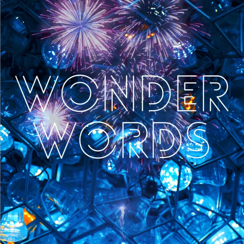 Wonder Words For